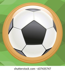 Soccer ball icon