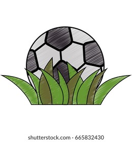 soccer ball icon