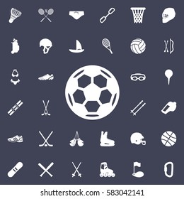 Soccer ball icon. Sport set of icons