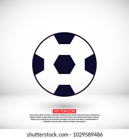 soccer ball  icon vector