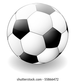 soccer ball isolated on white - vector