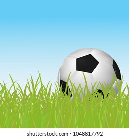 Soccer ball lying in the grass with blue sky background