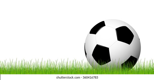 soccer ball lying in the grass with white background