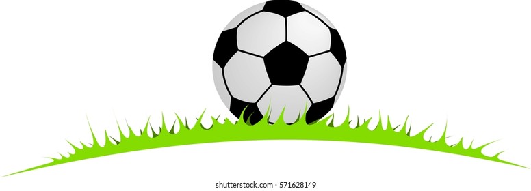 soccer ball lying in the grass for your use