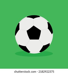 The soccer ball is lying on the grass