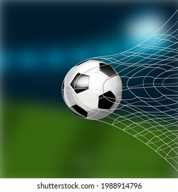 A soccer ball in the net. Isolated on the background of a football field, vector illustration