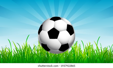 Soccer ball on the background of grass and sky, vector art illustration.