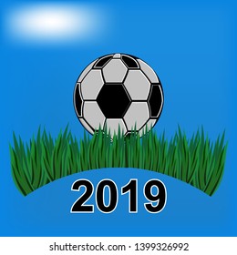  Soccer ball on a blue background and green grass, below 2019. Vector.