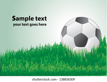 soccer ball on  the field