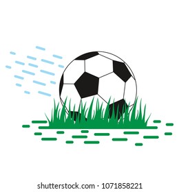 Soccer ball on soccer field. Vector football ball. Sport.