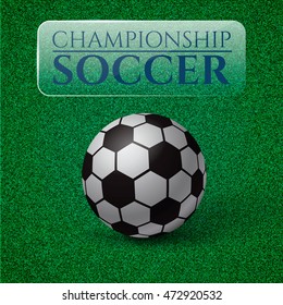 Soccer ball on the field. Vector illustration.