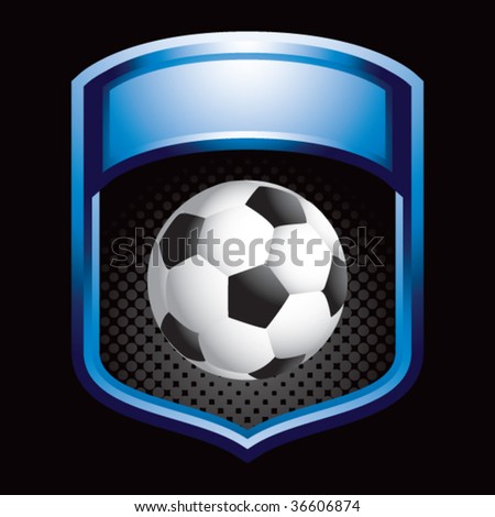 soccer ball on glossy display crest