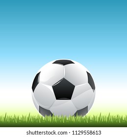 Soccer ball on grass
