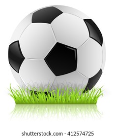 soccer ball on grass