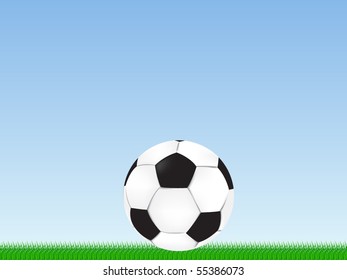 Soccer ball on the grass