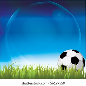 Soccer ball on grass