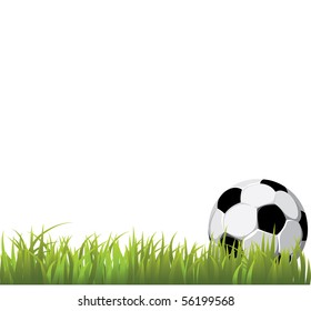 Soccer ball on grass