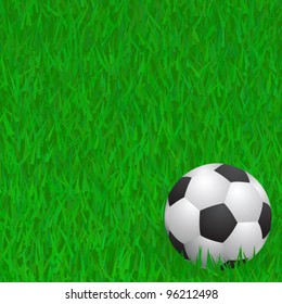 soccer ball on grass