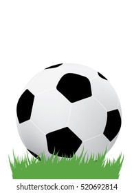 Soccer ball on grass background, vector illustration