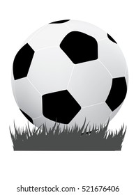 Soccer ball on grass background, vector illustration