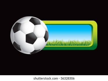 soccer ball on grass banner