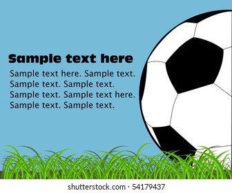 Soccer ball on the grass, football