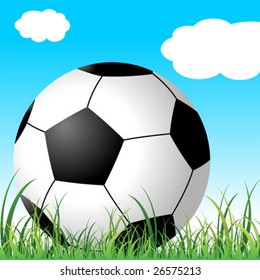 Soccer ball on the grass over cloudy blue sky