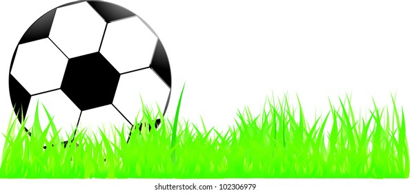 Soccer ball on grass. Vector.