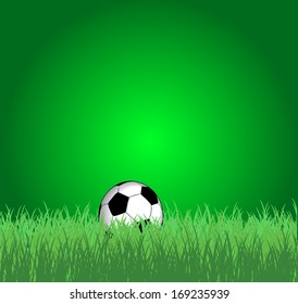 Soccer ball on the grass vector artwork 