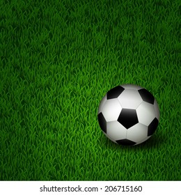 Soccer ball on the grass. Vector illustration.