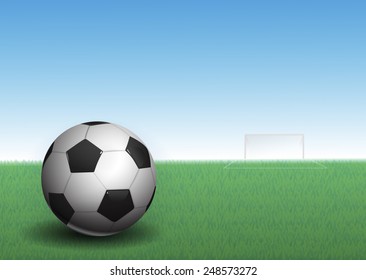 soccer ball on grass, vector illustration