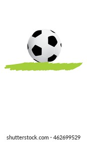 Soccer ball on grass vector