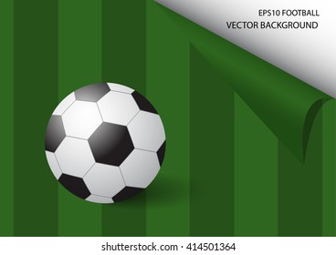 Soccer ball on green background, vector illustration