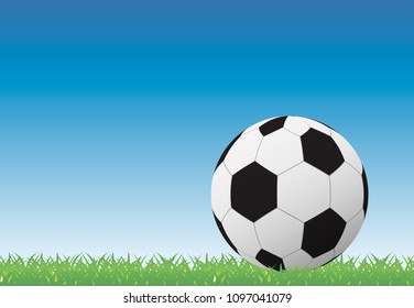 Soccer ball on green grass background, vector illustration