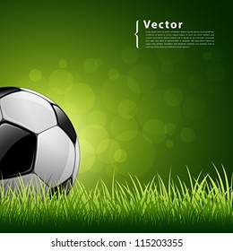 Soccer ball on green grass background, vector illustration