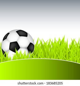 Soccer ball on green grass