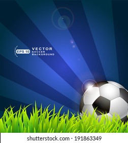 Soccer ball on green grass background with place for text.