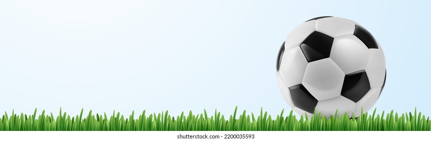 Balón de fútbol sobre hierba verde. Vector