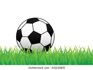 soccer ball on green grass and white background