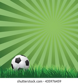 soccer ball on green grass. vector illustration EPS10