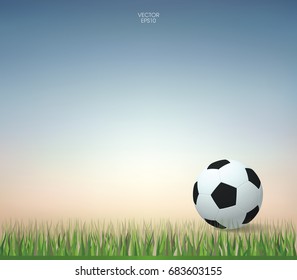 Soccer ball on green grass of soccer field with sky background.