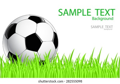 Soccer ball on lawn,vector ground