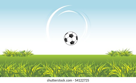 Soccer ball on the meadow. Vector