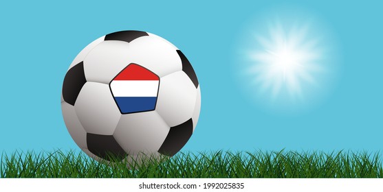 Balón de fútbol con la bandera de los Países Bajos en el campo de hierba verde. Vector plano.