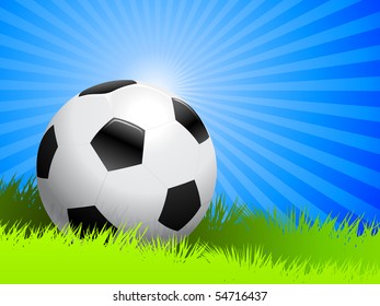 Soccer Ball on Summer Background Original Illustration