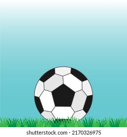 Soccer ball on a white background. Vector illustration.