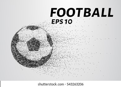 A soccer ball of particles. A soccer ball consists of small circles and dots