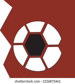 The soccer ball for sporting events!