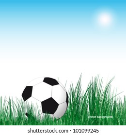 Soccer Ball vector background. Soccer ball in the green grass.