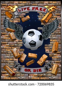 Soccer ball with wings 